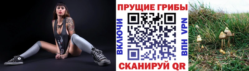 Галлюциногенные грибы Psilocybine cubensis  купить наркотики сайты  Выкса 